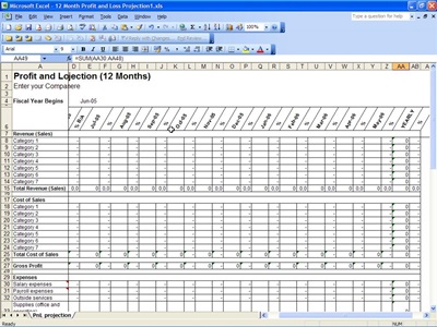 Profit and Loss Projection