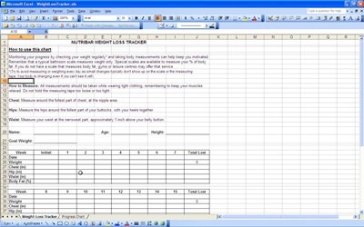 weight tracker excel