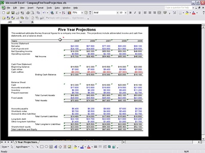 Company Financial Projection