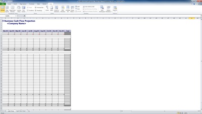 Cash Flow Projection