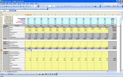 P L Statement Budget Forecast Excel Template P L Statements