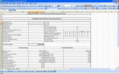 Salary Pay Slip Excel Format