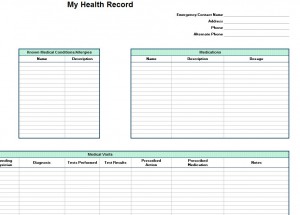 Photo of the Personal Health Record Template