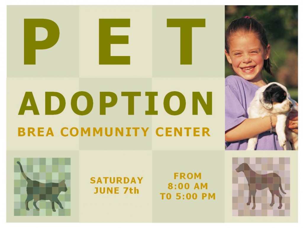 Screenshot of the Pet Adoption Template