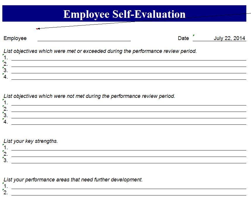 Employee Self Evaluation Form  Employee Self Evaluation