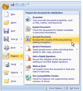 Password Protecting Excel