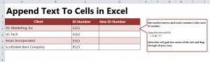 Appending Text to Cells in Excel