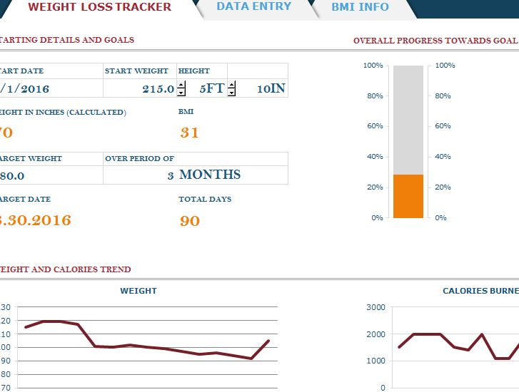 excel fitness tracker and weight loss tracker