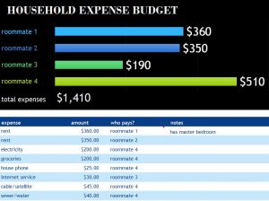 Household Expense Budget