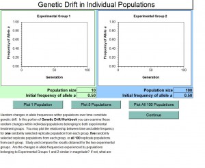 Genetic Drift Analysis Template