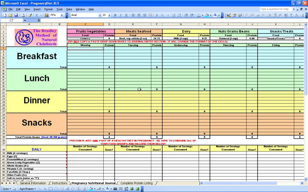 Free Pregnancy Diet Chart for Expectant Mothers | Excel Templates