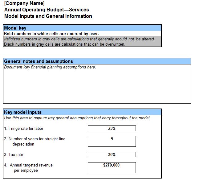 screenshot of the annual operating budget template