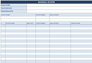 Screenshot of the Baseball Roster Template