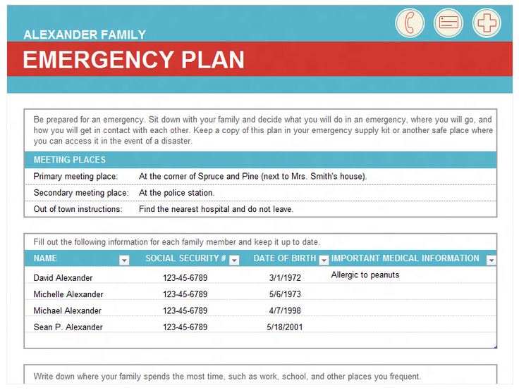 Free Emergency Family Plan Template