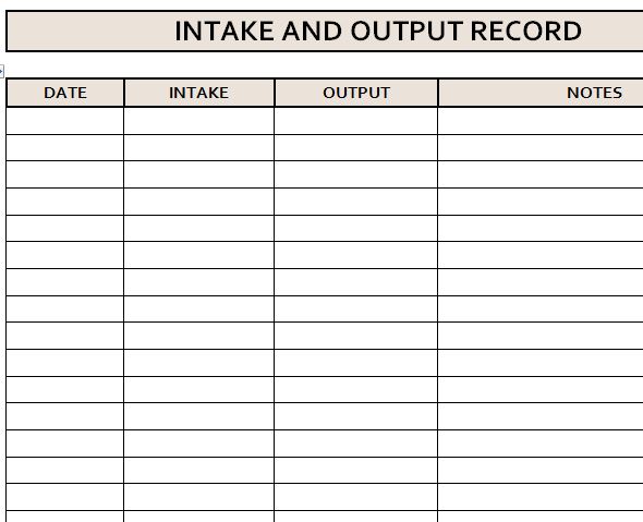 Intake And Output Record