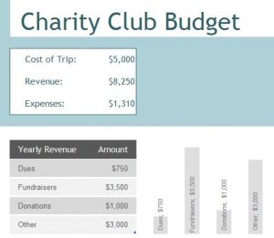 Charity Club Budget