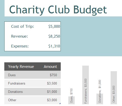 Charity Club Budget